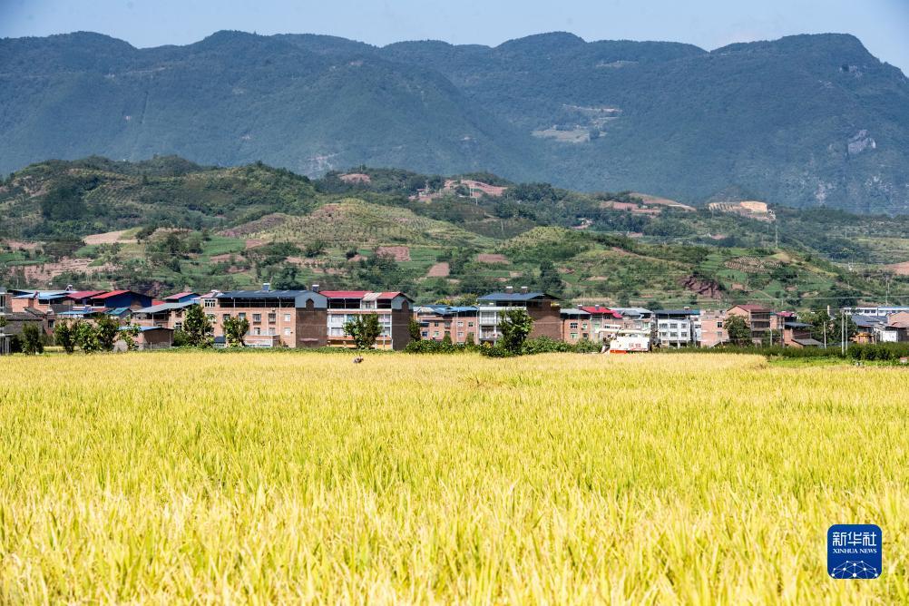 捕鱼送分